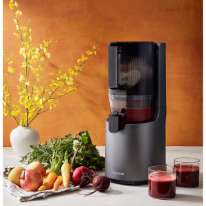 5 Cheaper Alternatives to Nama J2 Juicer in 2025