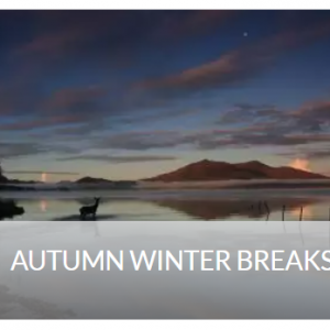 Book Direct & Save €10 Per Night On Autumn Winter Breaks @Scotts Hotel