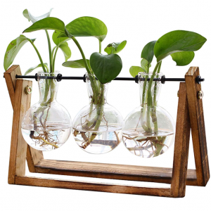 XXXFLOWER Plant Terrarium with Wooden Stand - 3 Bulb Vase @ Amazon	
