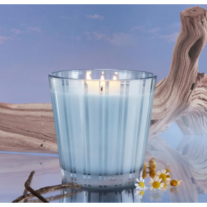 浮木和洋甘菊 3芯蠟燭