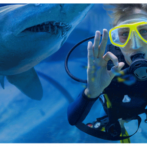 Sea Life Sydney - get up to 40% off tickets