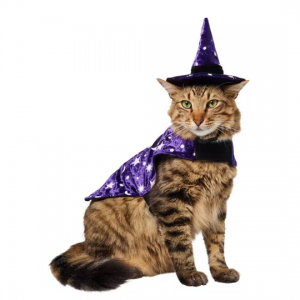 Select Cat & Dog Halloween Costumes Sale @ Chewy