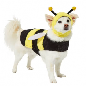Frisco 大黄蜂狗和猫服装