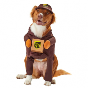 California Costumes UPS 送货司机狗和猫服装