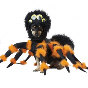 California Costumes 蜘蛛幼犬服装