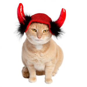 Pet Krewe 猫魔鬼红帽狗服装，一种尺寸