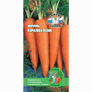 МОРКОВЬ КОРОЛЕВА ОСЕНИ СЕДЕК