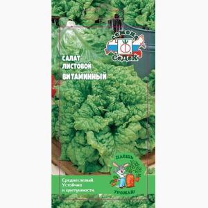 САЛАТ ЛИСТОВОЙ ВИТАМИННЫЙ СЕДЕК