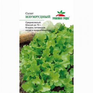САЛАТ ЛИСТОВОЙ ИЗУМРУДНЫЙ СЕДЕК