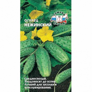 ОГУРЕЦ НЕЖИНСКИЙ СЕДЕК