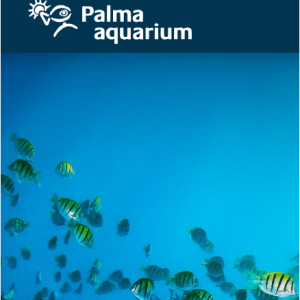 Palma Aquarium tickets - up to 20% off @Palma Aquarium