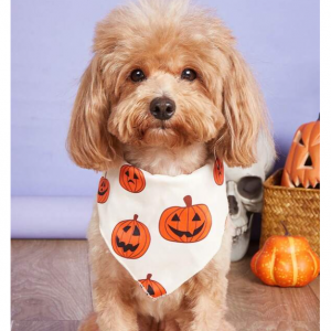 SHEIN Pet Halloween Sale 