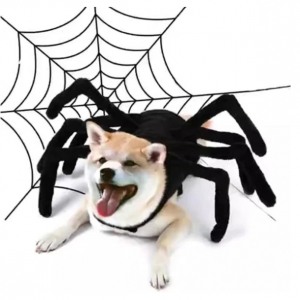 1件万圣节蜘蛛宠物服装，搞笑恐怖角色扮演服装，适合狗和猫