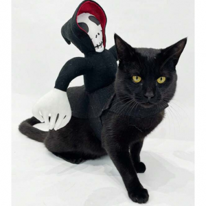 带骷髅装饰的万圣节宠物服装