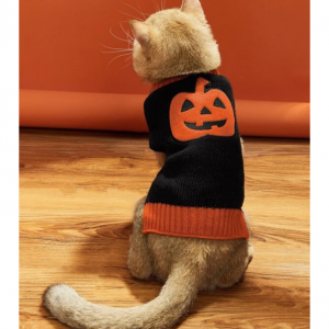 万圣节宠物南瓜毛衣