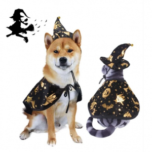 1件万圣节宠物女巫印花斗篷带帽子