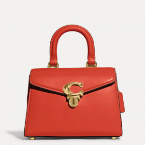 Coach Luxe Refined Sammy 21 手提包