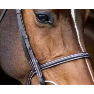 HorseLoverZ精选高级缰绳和轨道热卖