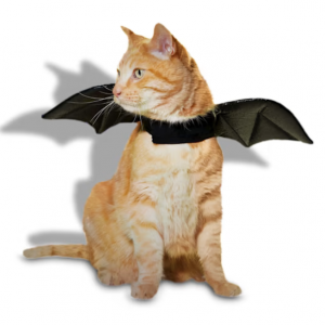 Halloween Bootique Collection Sale @ Petco