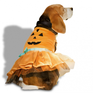 Bootique 猫狗南瓜连衣裙，XXS