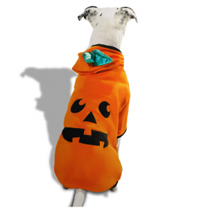 南瓜万圣节服饰猫狗都可以穿