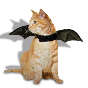 猫咪万圣节蝙蝠项圈