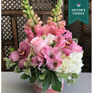 粉色Ombre,編輯推薦款