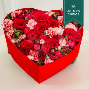 無盡的愛,編輯推薦款