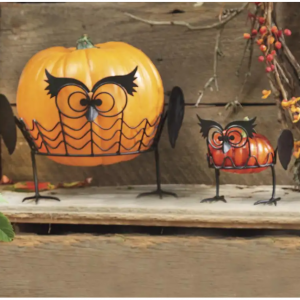 猫头鹰南瓜架 2 件套