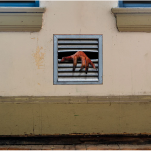 万圣节：通风口的恶魔 - 可移除的粘性贴花