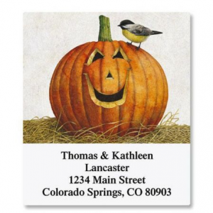 南瓜选择退货地址标签