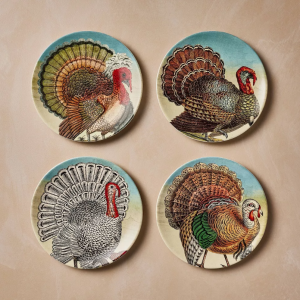 John Derian for Target  4件套炻器秋季火鸡沙拉盘套装