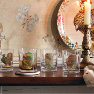 John Derian for Target 4件装什锦秋季火鸡鸡尾酒杯