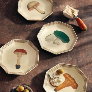 John Derian for Target  4件装什锦秋蘑菇开胃盘