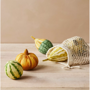 John Derian for Target  5件套枕头套装秋季什锦葫芦