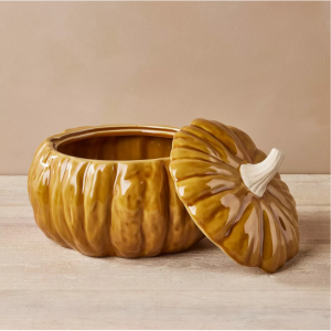 John Derian for Target  炻器秋季南瓜盖碗