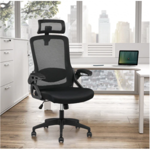 Advwin 人体工学网布办公椅