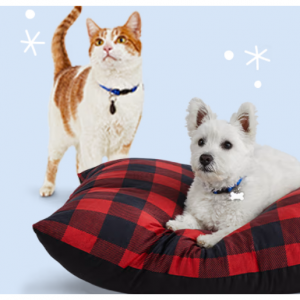 Select Dog & Cat Beds, Bowls & Litter @ Petco
