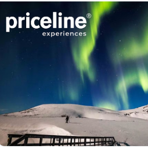 Earn a $100 statement credit & 5K bonus points after qualifying purchases @Priceline