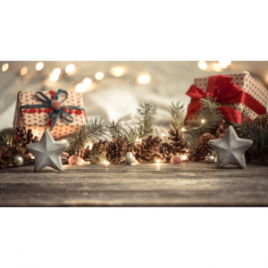 2025年10个欧洲购买圣诞树、圣诞装饰及用品网站推荐（优惠+8%返利）