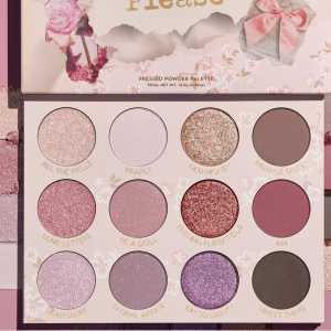 pretty please眼影盘