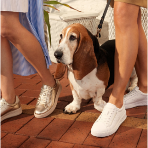 Up To 60% Off Footwear Sale @ Hush Puppies Australia