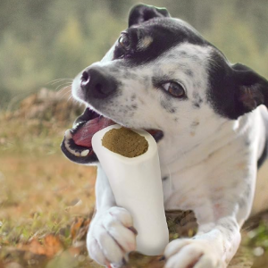 Cadet Stuffed Shin Bone for Dogs, Large (1 Count) @ Amazon