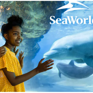 Deal of the Day! Up to 65% Off SeaWorld Park Admissions + FREE Meal @Groupon