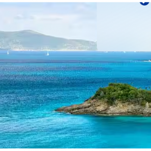 Princess Cruises -  5天加勒比大塔克行程，劳德代尔堡往返，$467起