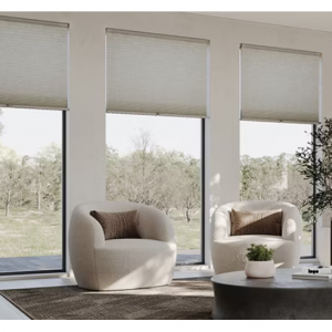 Blindsgalore® Select Cellular Shades: Light Filtering