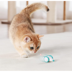 Petlibro Interactive Cat Toys for Indoor Cats, Automatic Cat Toy with LED Lights @ Amazon
