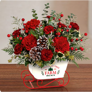 Snowy Surprise Blossoms 圣诞花束