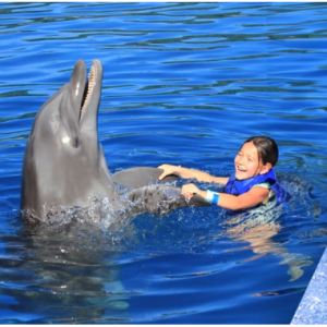 30% off Combo: Whale Watching & Dolphin Adventure @Vallarta Adventure