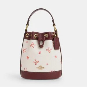 Extra 20% Off Coach Dempsey Drawstring Bucket Bag 15 With Bow Print @ Coach Outlet